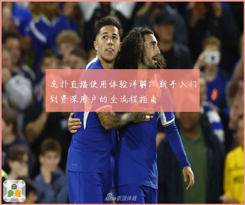 虎扑直播使用体验详解：新手入门到资深用户的全流程指南