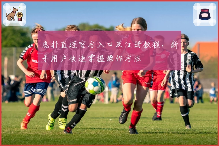 虎扑直连官方入口及注册教程，新手用户快速掌握操作方法