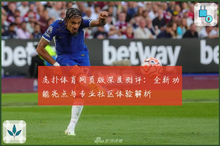 虎扑体育网页版深度测评：全新功能亮点与专业社区体验解析